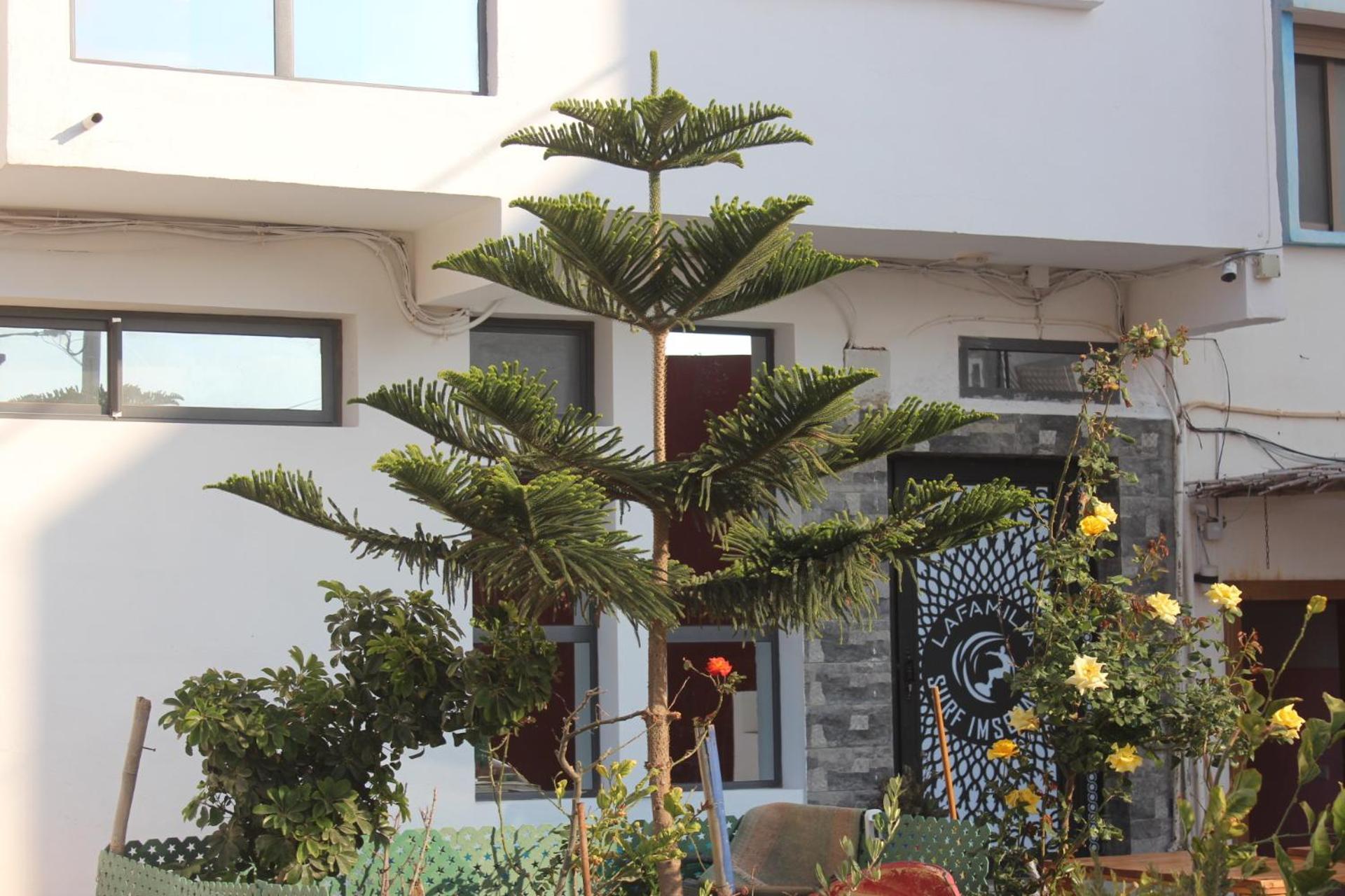 Lafamilia Surf Imsouane Hotel Bagian luar foto